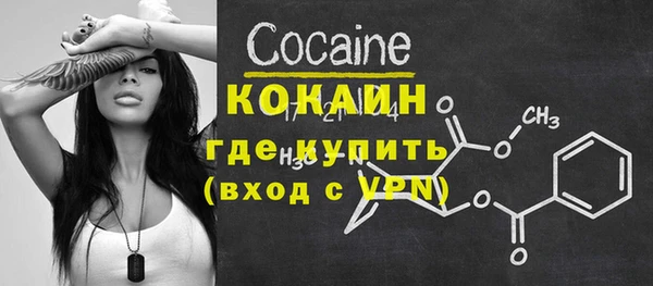 индика Лагань
