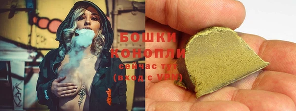 индика Лагань