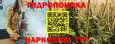 шишки Балаково