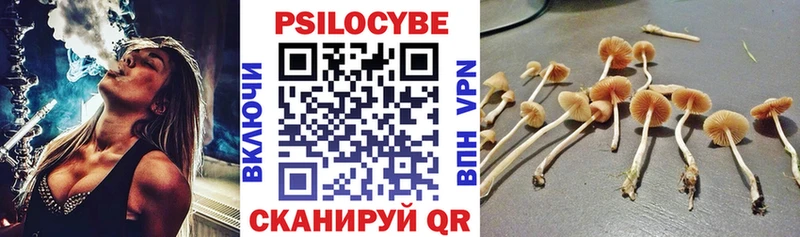 Галлюциногенные грибы Cubensis блэк спрут как зайти Екатеринбург