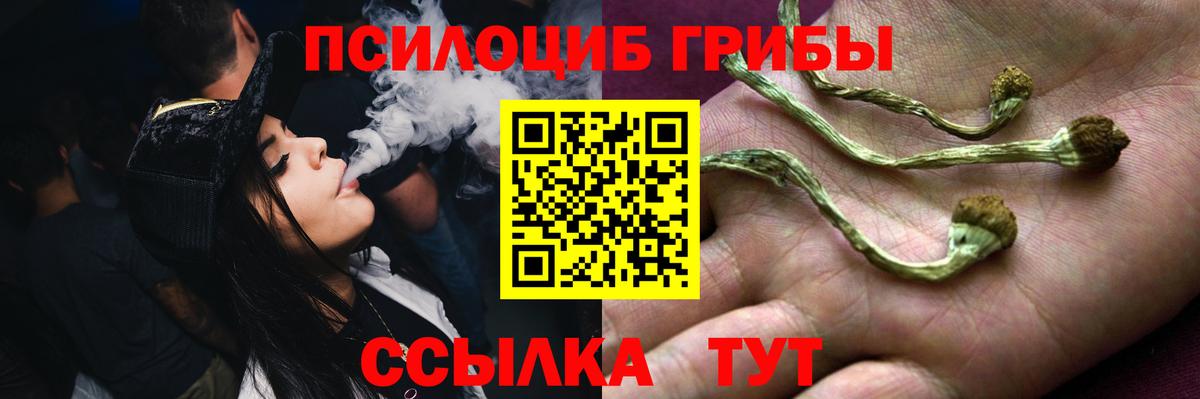 сколько стоит  Вход с VPN  Екатеринбург  Псилоцибиновые грибы мицелий  Псилоцибиновые грибы ЛСД 